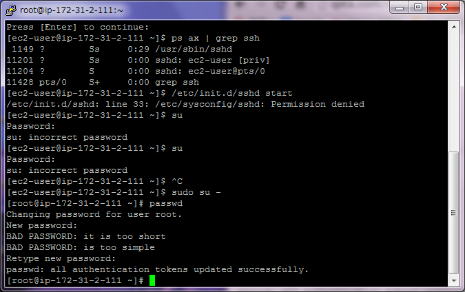 aws3.png